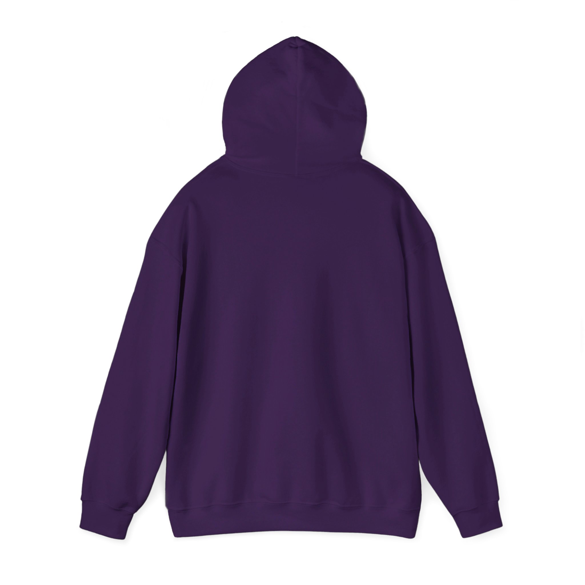 Copy of Building Dreamz Hooded Sweatshirt - Image 3